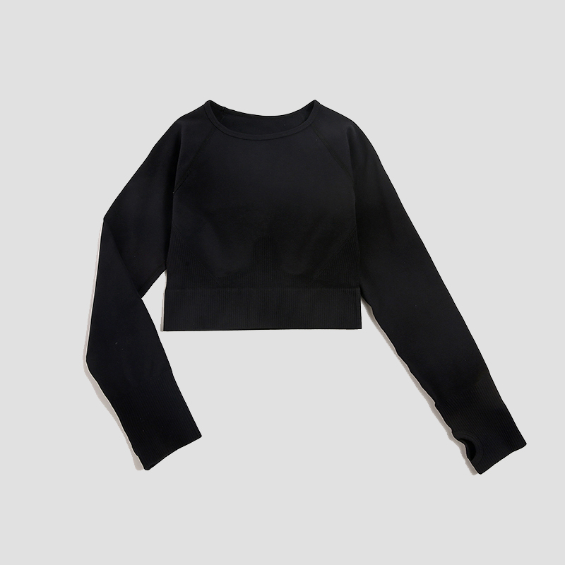 女性のシャツシームレスクロップトップフィットネスシャツ長袖ス - Yoga Fitness Hk のレビューと価格