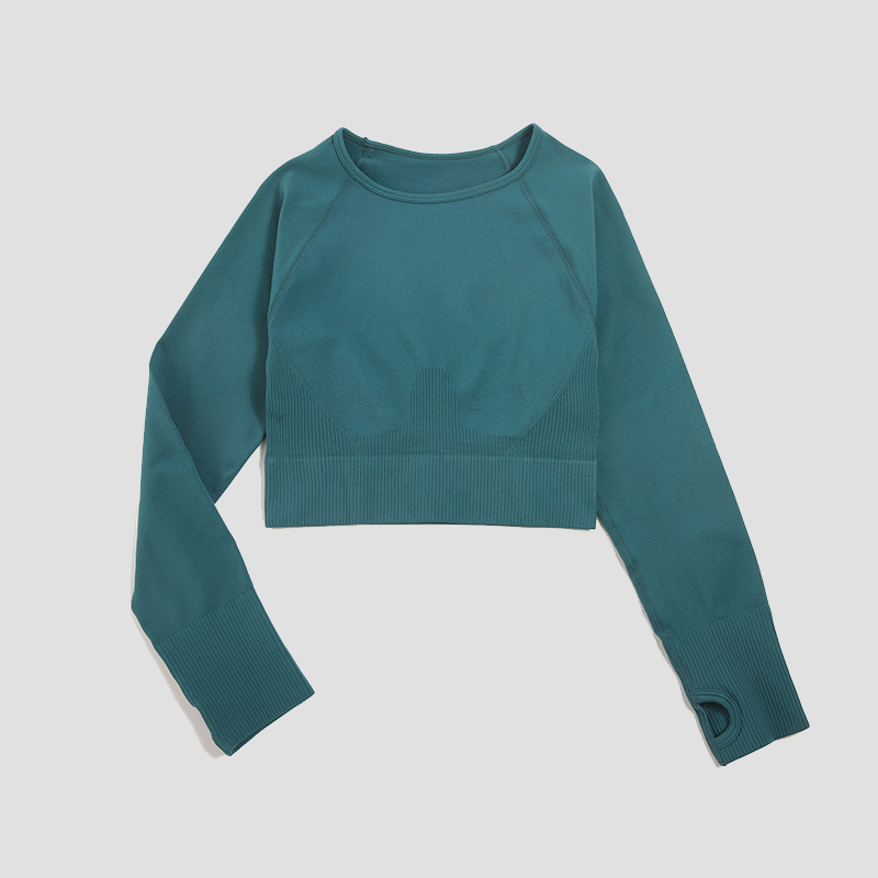 女性のシャツシームレスクロップトップフィットネスシャツ長袖ス - Yoga Fitness Hk のレビューと価格