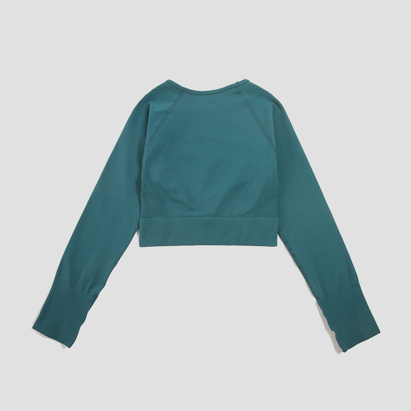 女性のシャツシームレスクロップトップフィットネスシャツ長袖ス - Yoga Fitness Hk のレビューと価格